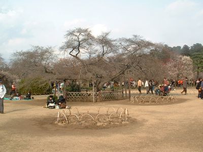 ��G����̖�