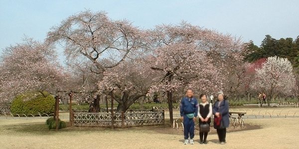 ��G����ƂR�l