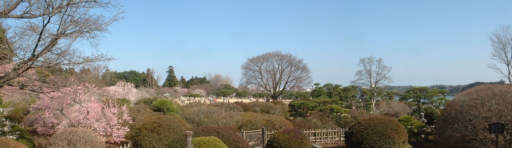 �D�������]a